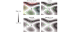 Diverse and Amortised Counterfactual Explanations for Uncertainty Estimates